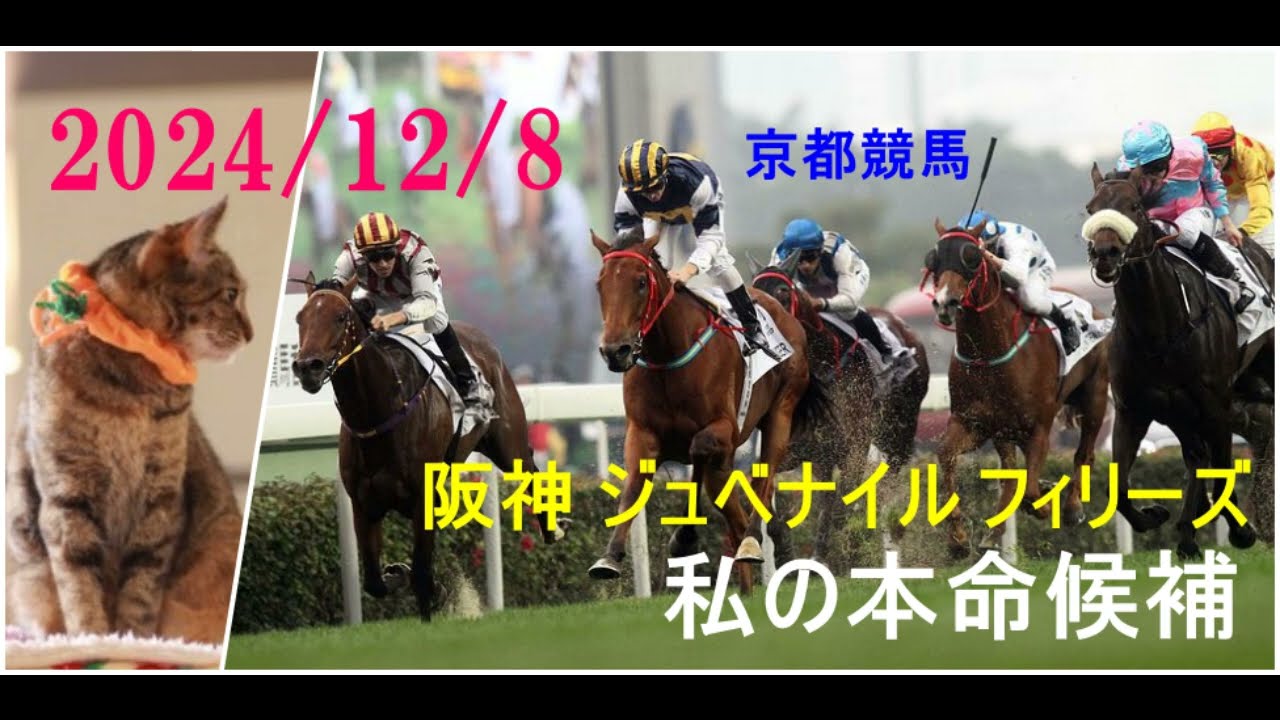 2024/12/8　京都競馬　阪神 ジュベナイル フィリーズ（ＧⅠ）私の本命候補