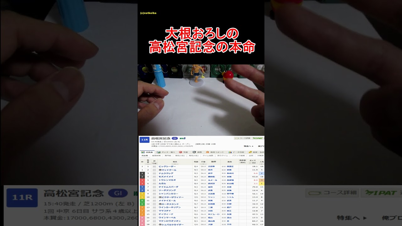 【高松宮記念2024】ここは軽視されてるこの馬でいい  #大根おろし #高松宮記念  #高松宮記念2024