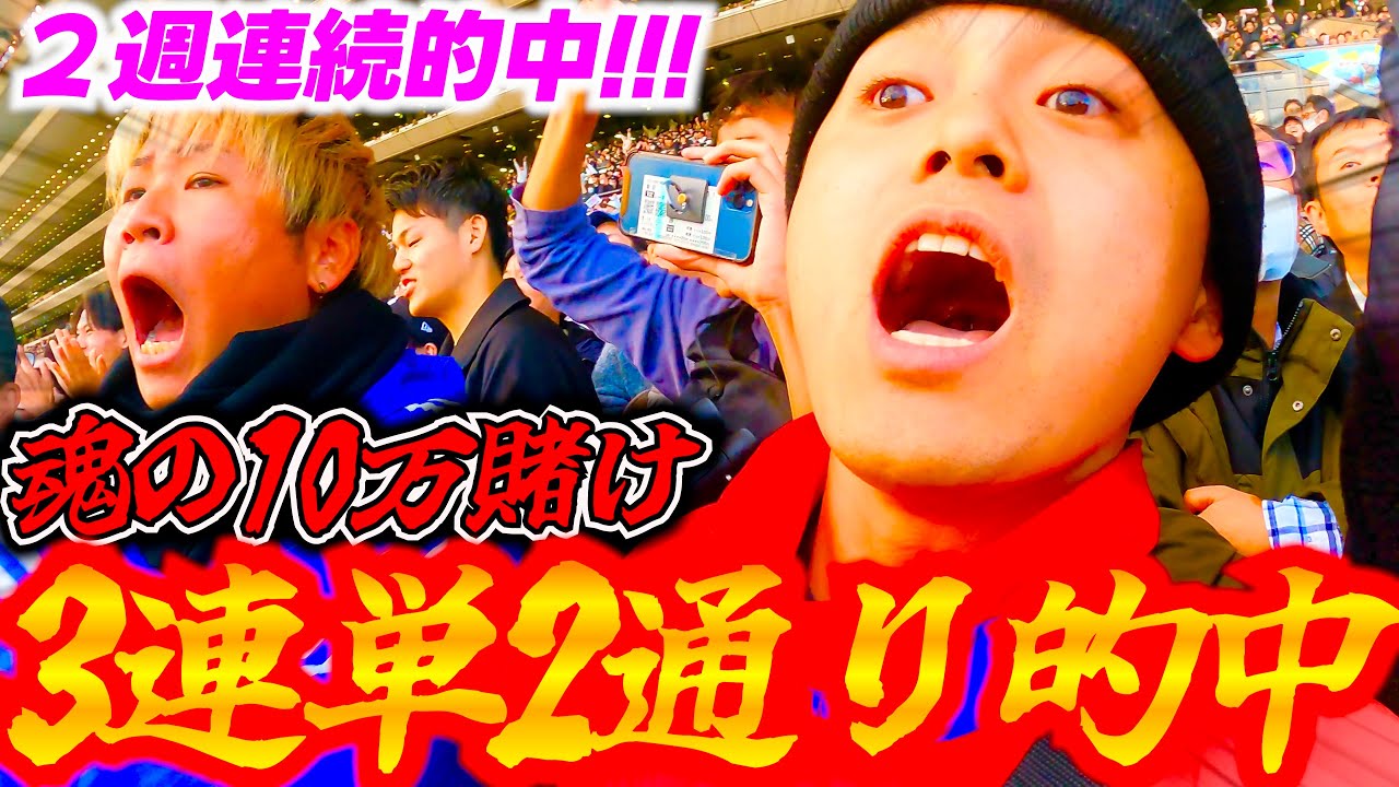 【ジャパンカップ2024】前代未聞の3連単2通り的中でさすがに人生変わったwww
