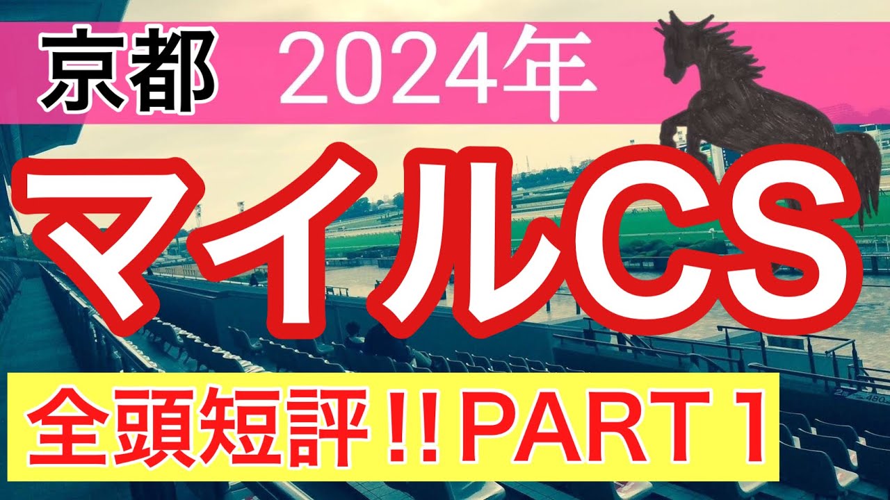 【マイルチャンピオンシップ2024】蓮の競馬予想(全頭短評PART1)