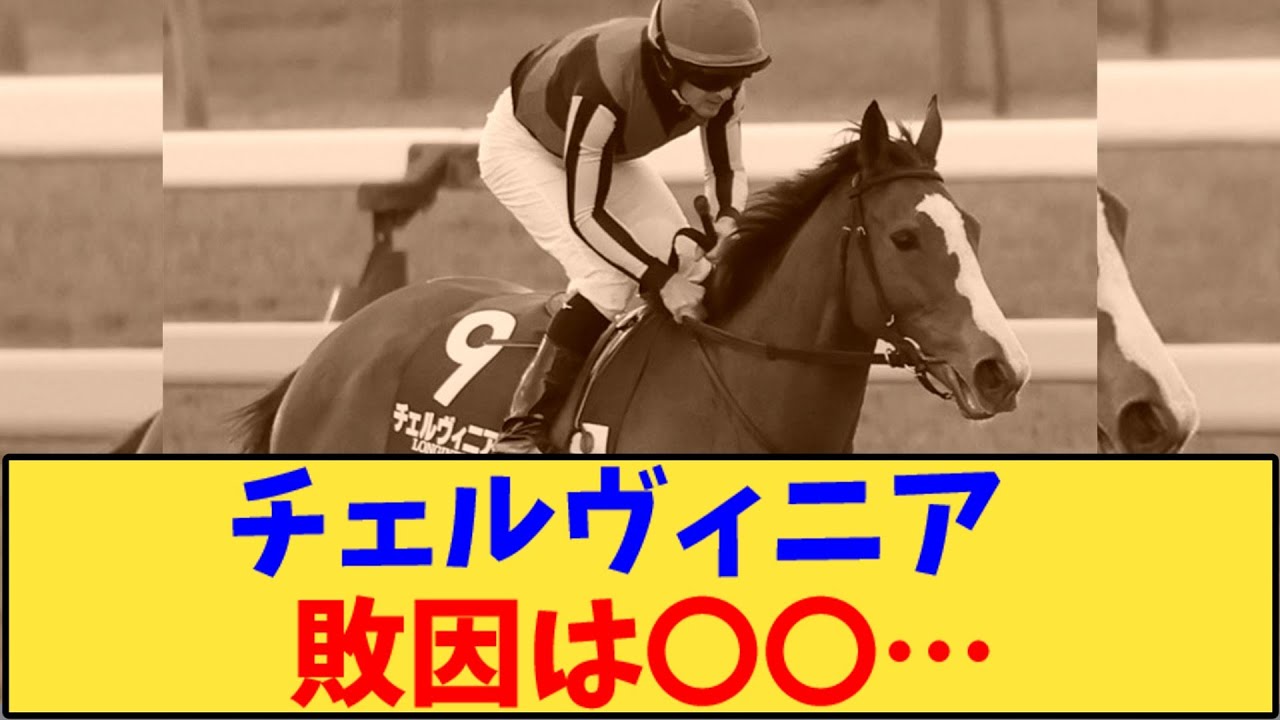 【競馬】「チェルヴィニア  敗因は〇〇が話題に…」に対する反応【反応集】