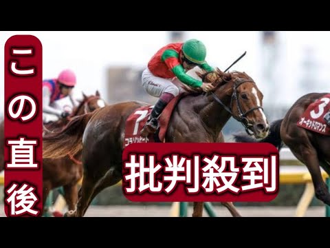 【阪神JF想定】ブラウンラチェット、米国馬メイデイレディなど20頭