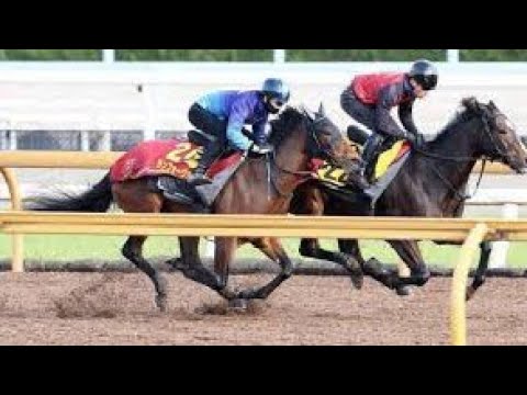 【阪神ＪＦ】福永厩舎Ｇ１初Ｖ狙うランフォーヴァウは好調キープ　「内容は１００点」の前走経験生かせるか