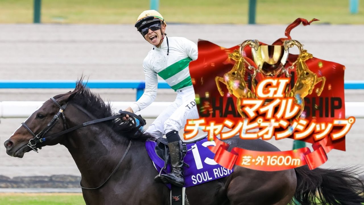 【競馬】2024年 第41回マイルチャンピオンシップ(GⅠ)【ソウルラッシュ / 団野大成】