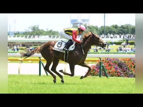 【2歳次走報】コートアリシアンは阪神JFが目標[Japanese sports]