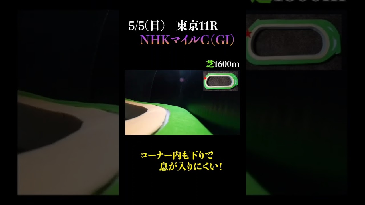 【オススメの１頭】NHKマイルカップ(ＧⅠ) 2024 #競馬予想 #win5