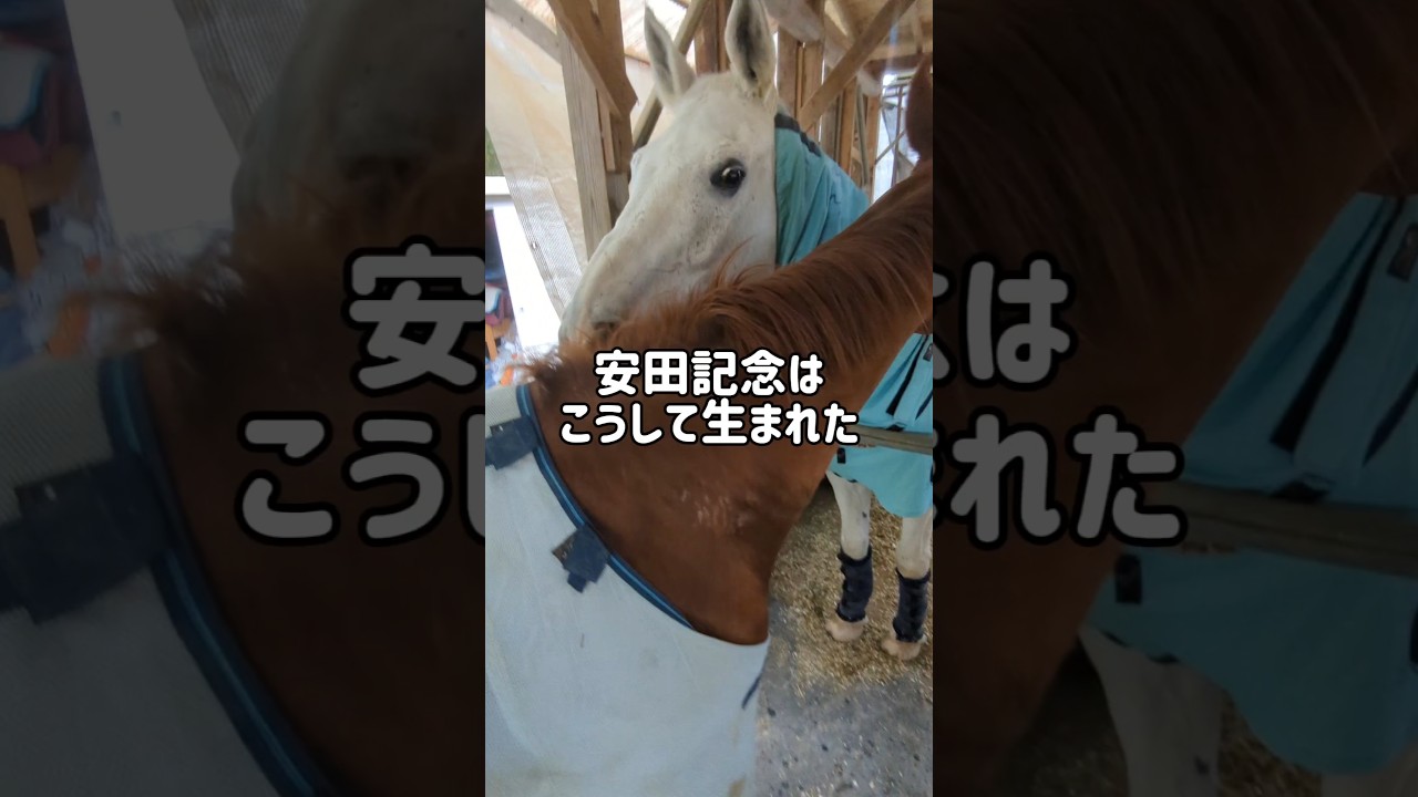 安田記念はこうして生まれた　#horse #馬 #歴史 #乗馬 #競馬 #解説 #雑学