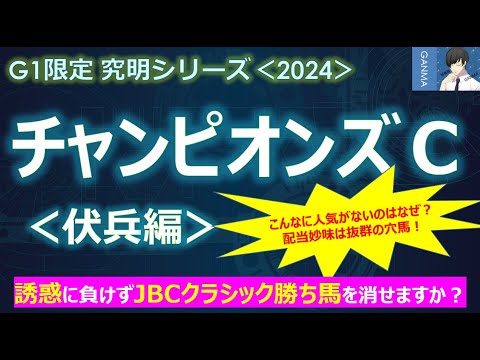 【チャンピオンズカップ2024＜伏兵編＞】ウィルソンテソーロは来ねぇよ！あなたは誘惑に負けず消せますか？～こんなに人気ないの？配当妙味が抜群の穴馬が！～
