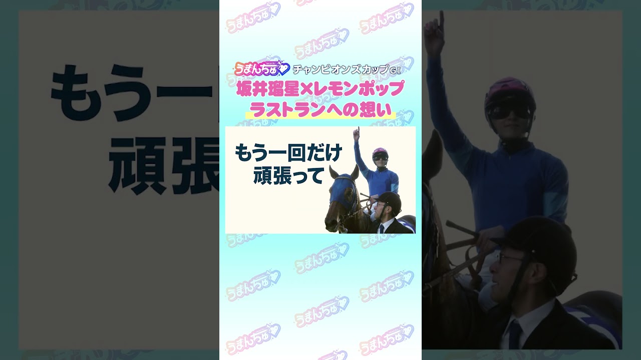 チャンピオンズカップGⅠ トレセン直撃取材！        #競馬 #チャンピオンズカップ #レモンポップ #坂井瑠星 #うまんちゅ