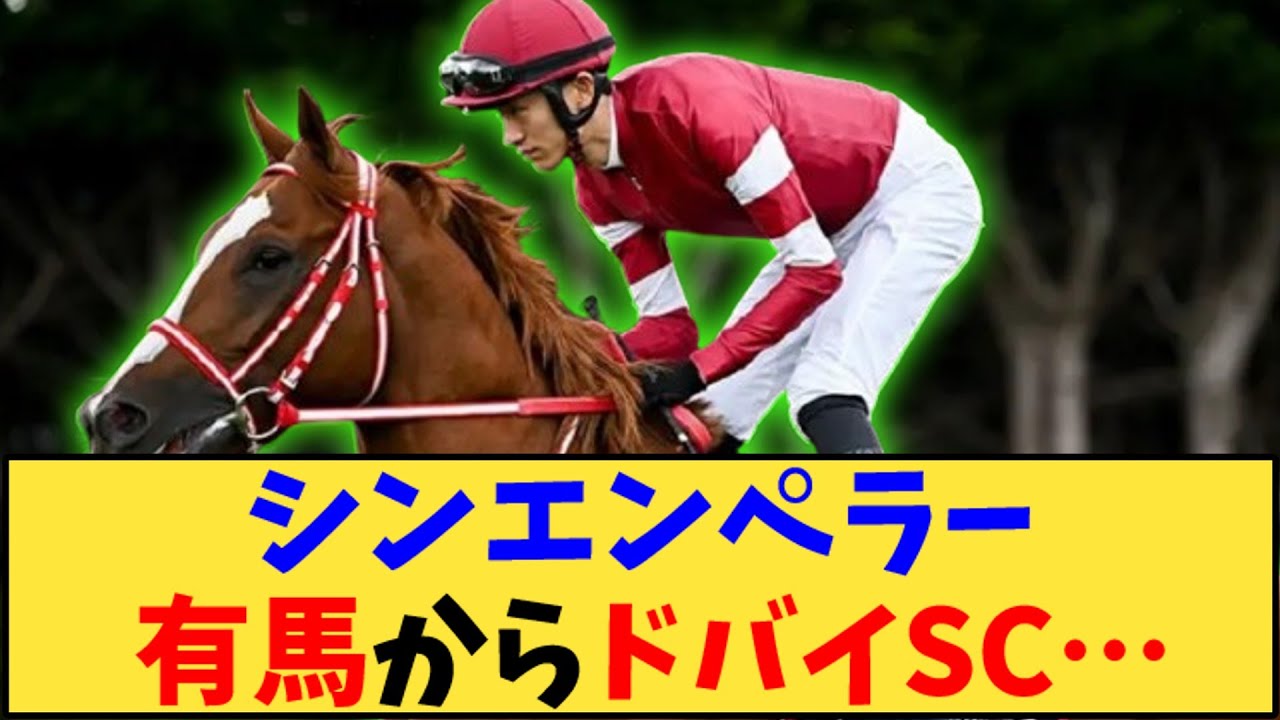 【競馬】「シンエンペラー 有馬記念からドバイシーマクラッシックへ」に対する反応【反応集】
