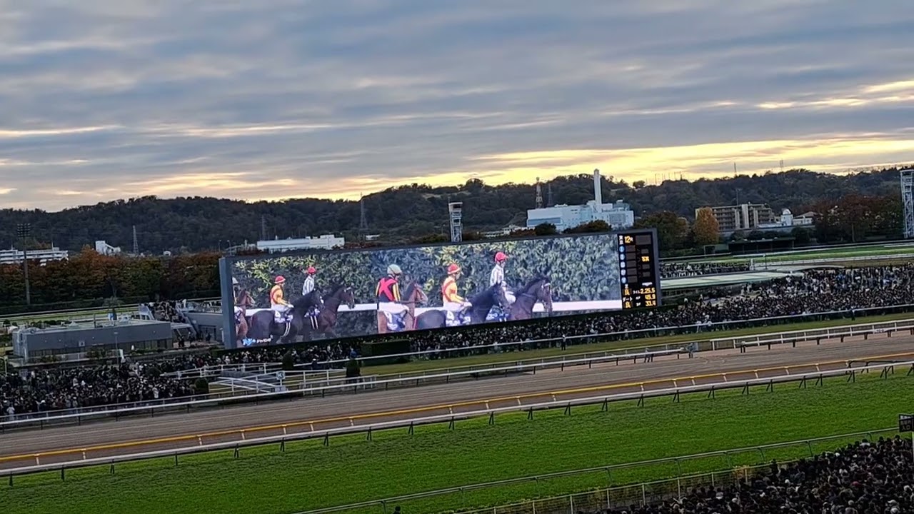 【ジャパンカップ2024】現地映像 優勝:ドウデュース 2着同着確定の瞬間 場内どよめき有り