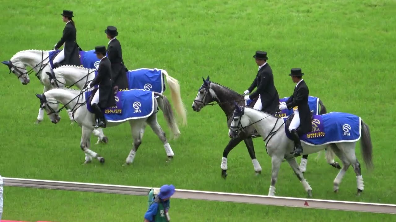 【安田記念2024】誘導馬たちが拍手にざわつく 本馬場入場 現地映像 ロマンチックウォリアー