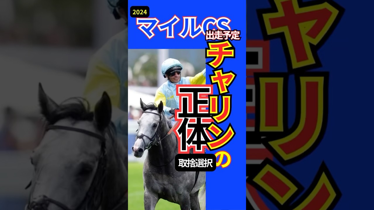 【海外馬】2024マイルCSに出走する外国馬チャリンについて　#マイルチャンピオンシップ   #ジャパンカップ2024  #チャリン馬
