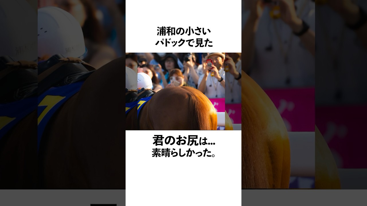 レモンポップの面白りい雑学！#チャンピオンズカップ #がんばれ！