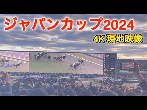 【ジャパンカップ2024】ドウデュースが偉大すぎた 「ドウデュースぅぅ」と叫ぶねき 現地映像 4K