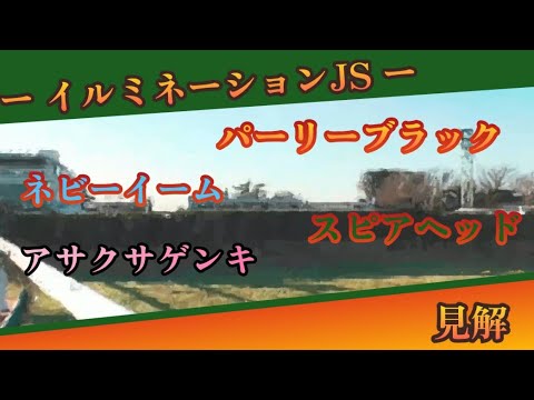 11/30 【競馬障害レース】中山8RイルミネーションJS 見解