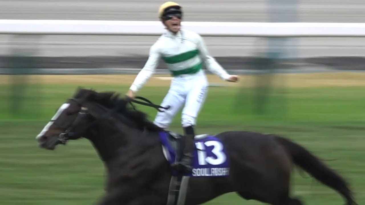 【現地】2024 G1 マイルチャンピオンシップ ソウルラッシュ  団野大成 ナミュールまさかのゴール後下馬【京都競馬場】