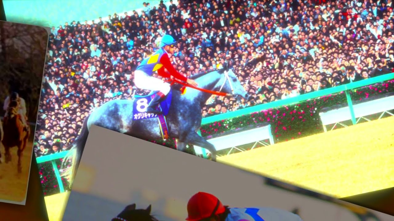 競馬ファン(視聴者様)が選ぶ『有馬記念』投票受付中