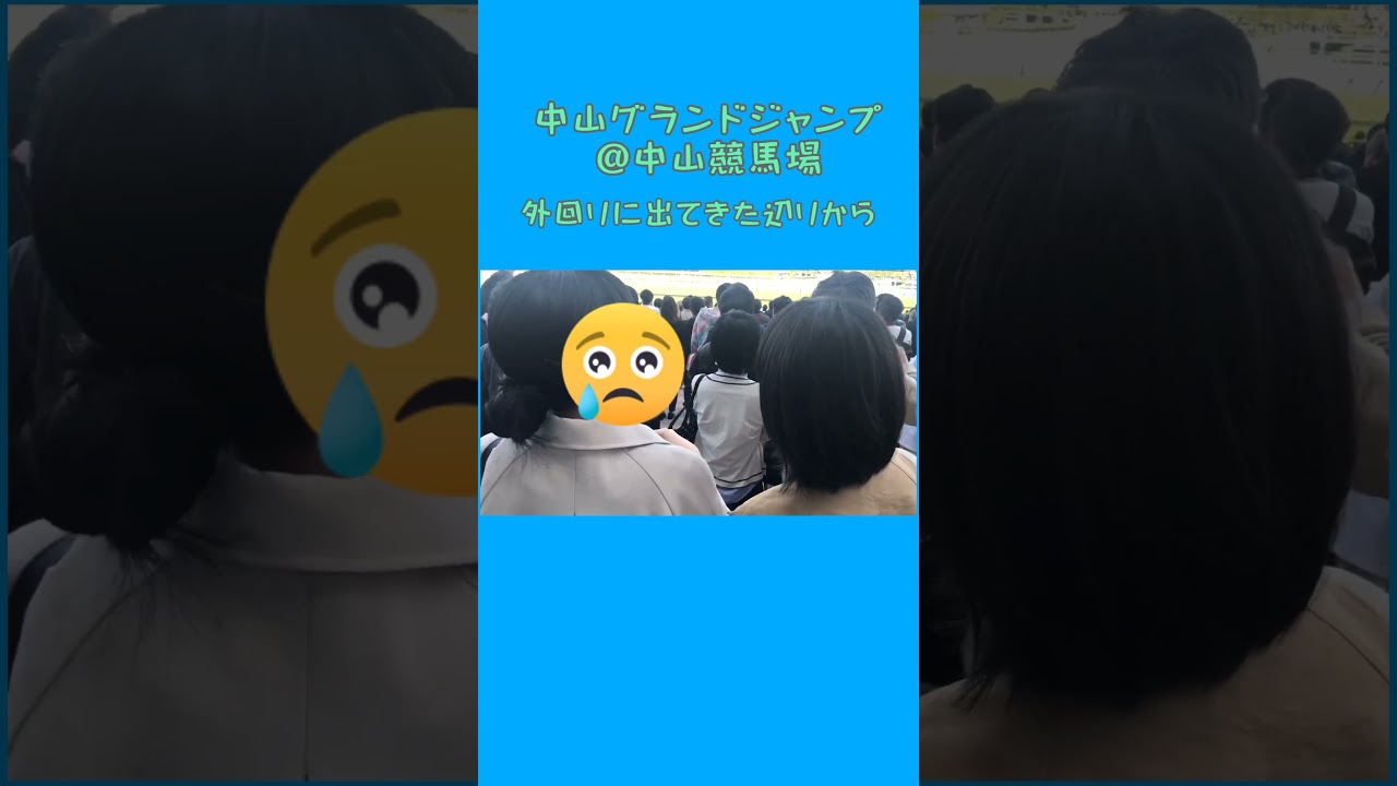 中山グランドジャンプ観戦記 #日刊競馬 #競馬 #中山グランドジャンプ2024