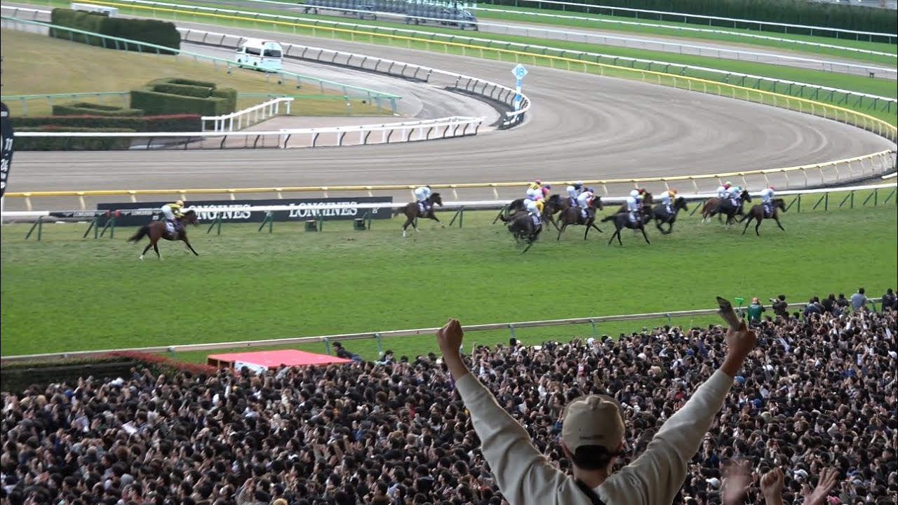 【ジャパンカップ2024】現地レース映像 武豊 ドウデュース 脅威の上り32.7【これぞ日本総大将！】
