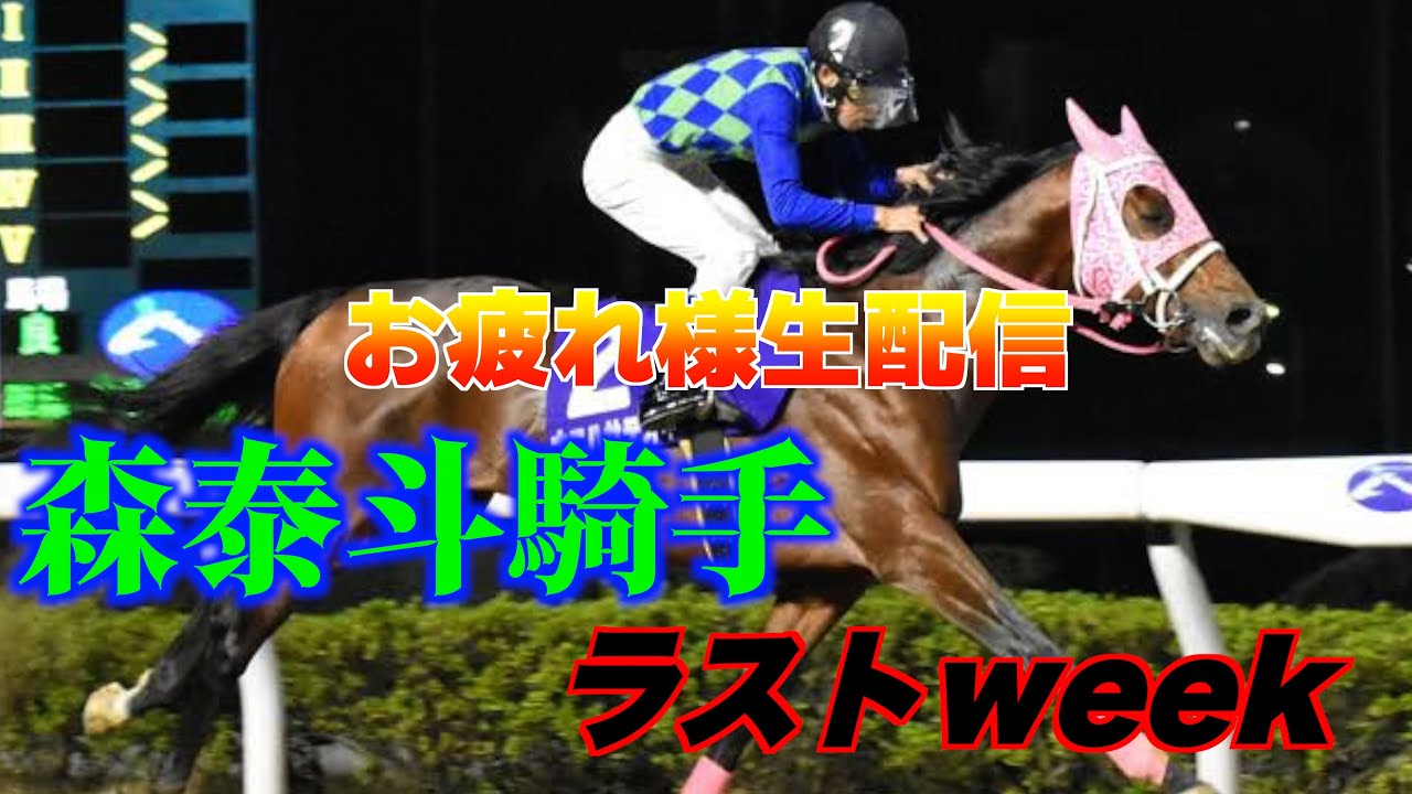 【LIVE】ゲリラ配信、高知ファイナル【チャンピオンズカップ反省会】in高知競馬場競馬場〜競馬あるある〜