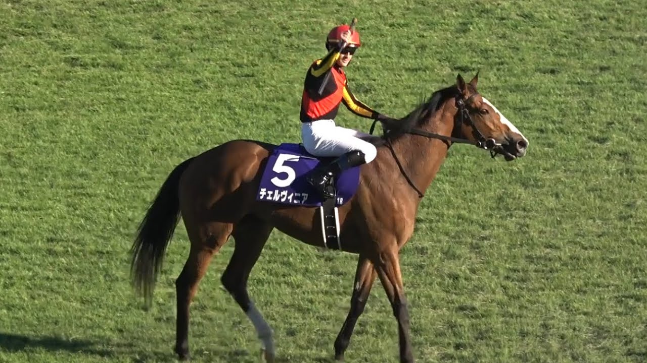 【2冠達成】2024 G1 秋華賞 チェルヴィニア C.ルメール 生ファンファーレ【次走はジャパンカップへ】