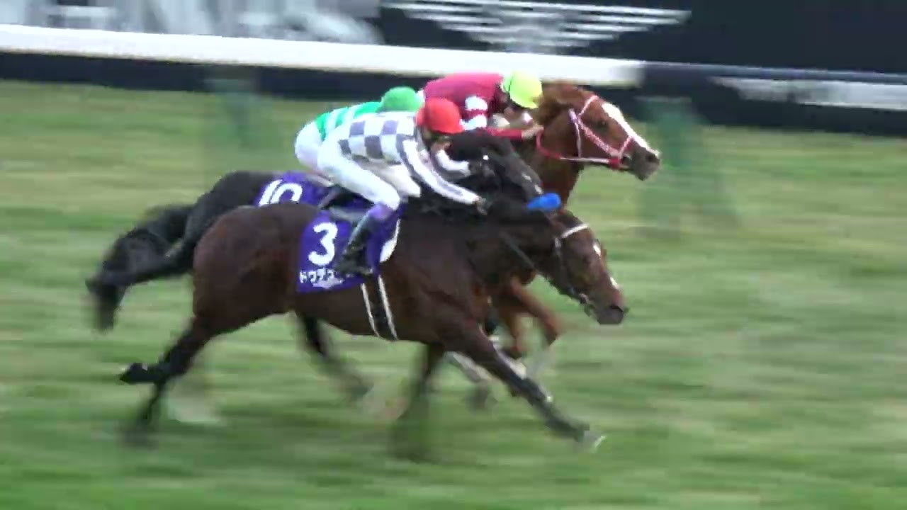 【武豊】コールが鳴り響く‼ 【ジャパンカップ2024】 ウィニングラン 現地映像 ドウデュース