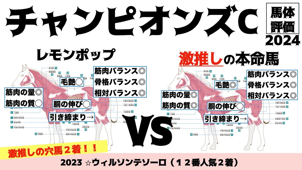 【チャンピオンズカップ2024】レモンポップ有終の美に相応しい馬体！！あ、本命ちゃうんすけどね。【馬体評価】
