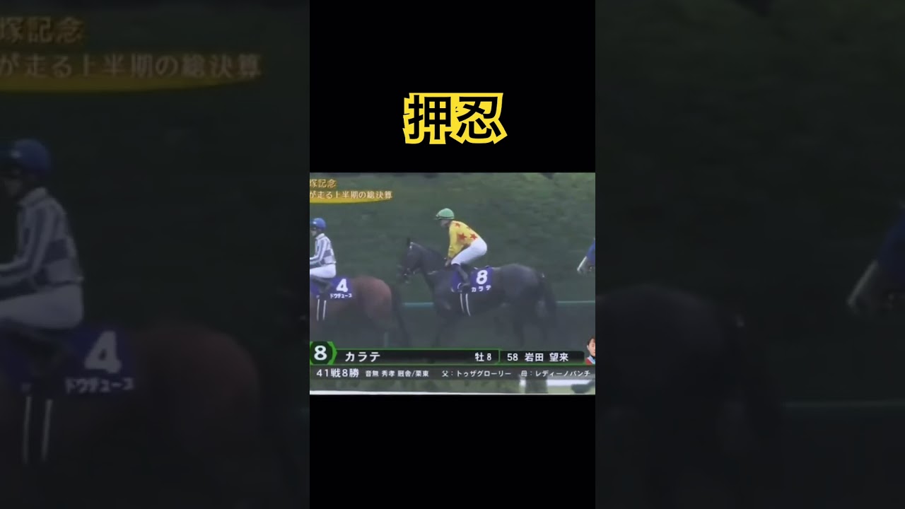 宝塚記念のカラテの紹介が押忍だった　#宝塚記念2024