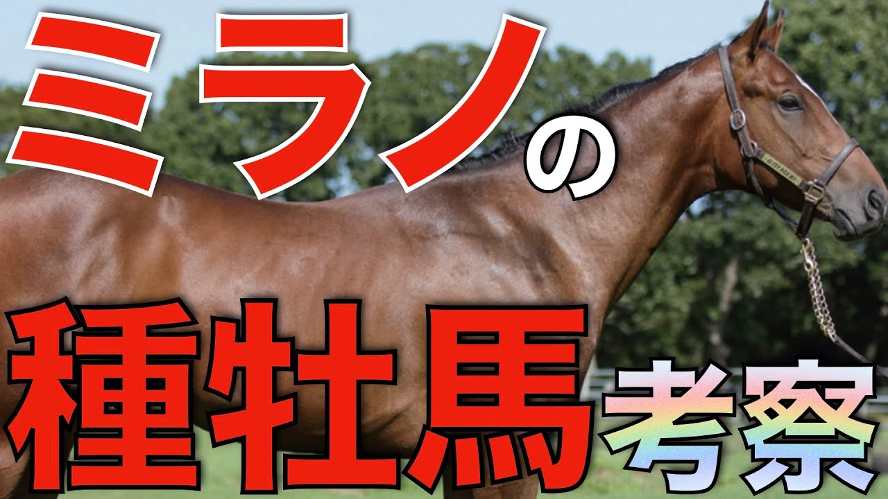 皐月賞馬ジャスティンミラノが引退種牡馬入り！そのポテンシャルを徹底考察。