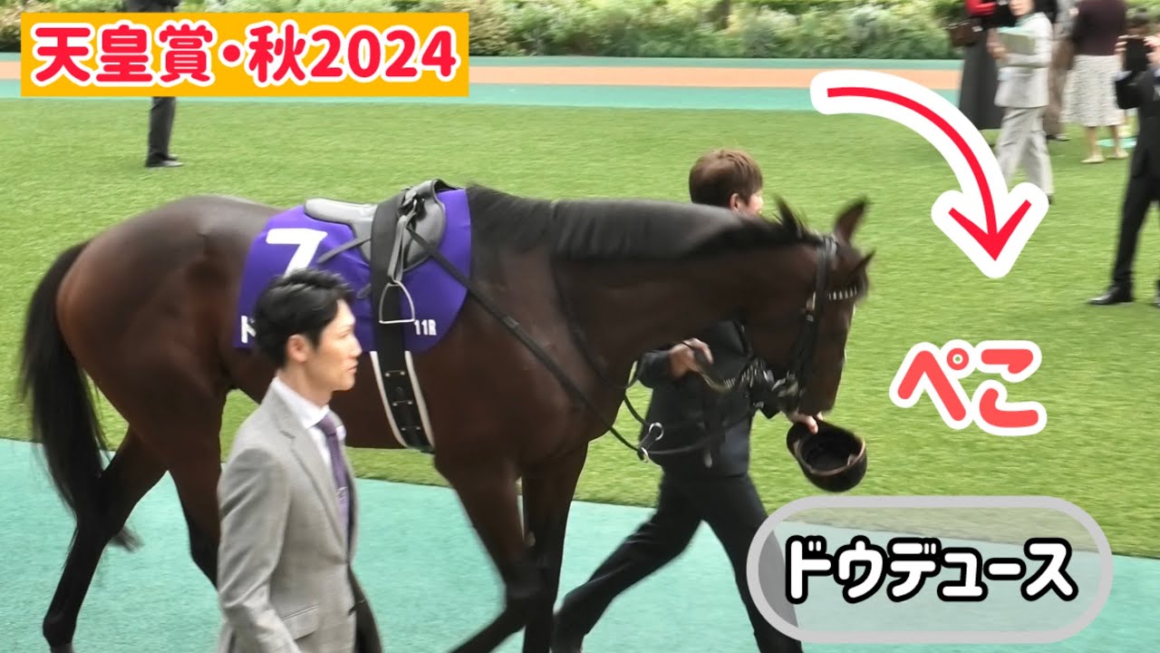 【天皇賞秋2024】厩務員さんと一緒に松島オーナーにぺこりするドウデュースがいい子すぎた☺️