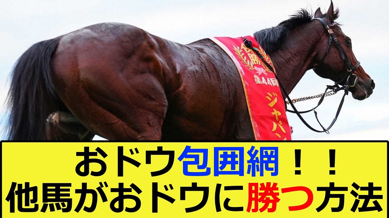 【競馬】打倒ドウデュース！！有馬記念で他馬がドウデュースに勝つ方法に対する反応集【競馬の反応集】