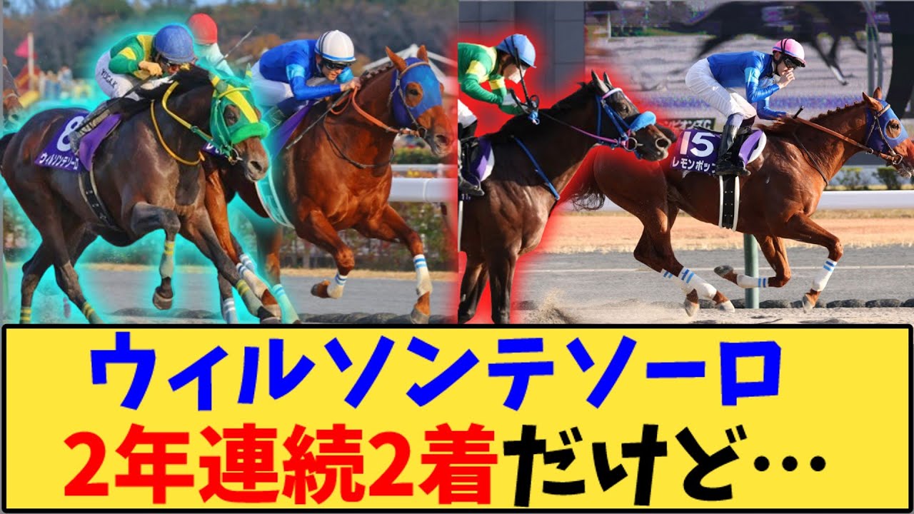 【競馬】「ウィルソンテソーロ 2年連続2着だけど…【チャンピオンズカップ】」に対する反応【反応集】