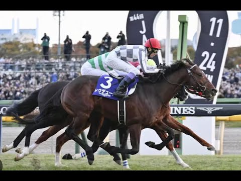 ＜ロング版＞ジャパンカップ 2024現地映像　ドウデュースTokyo Japan Cup 2024 - Horse Racing