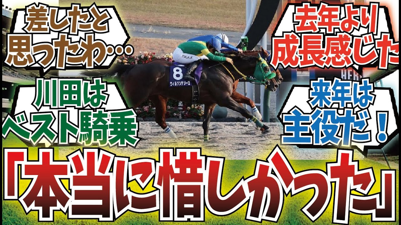 「ウィルソンテソーロ2年連続2着…」に対するみんなの反応集