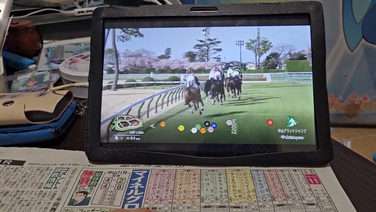 (競馬)第26回中山グランドジャンプ(ジャンプGⅠ)解説ダイジェスト