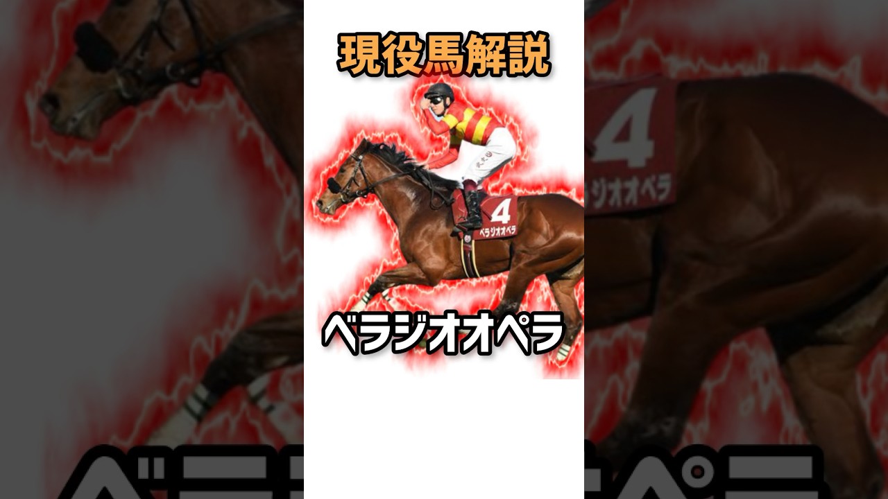 【現役馬解説】#10 世代を引っ張る総大将 ベラジオオペラ【宝塚記念】