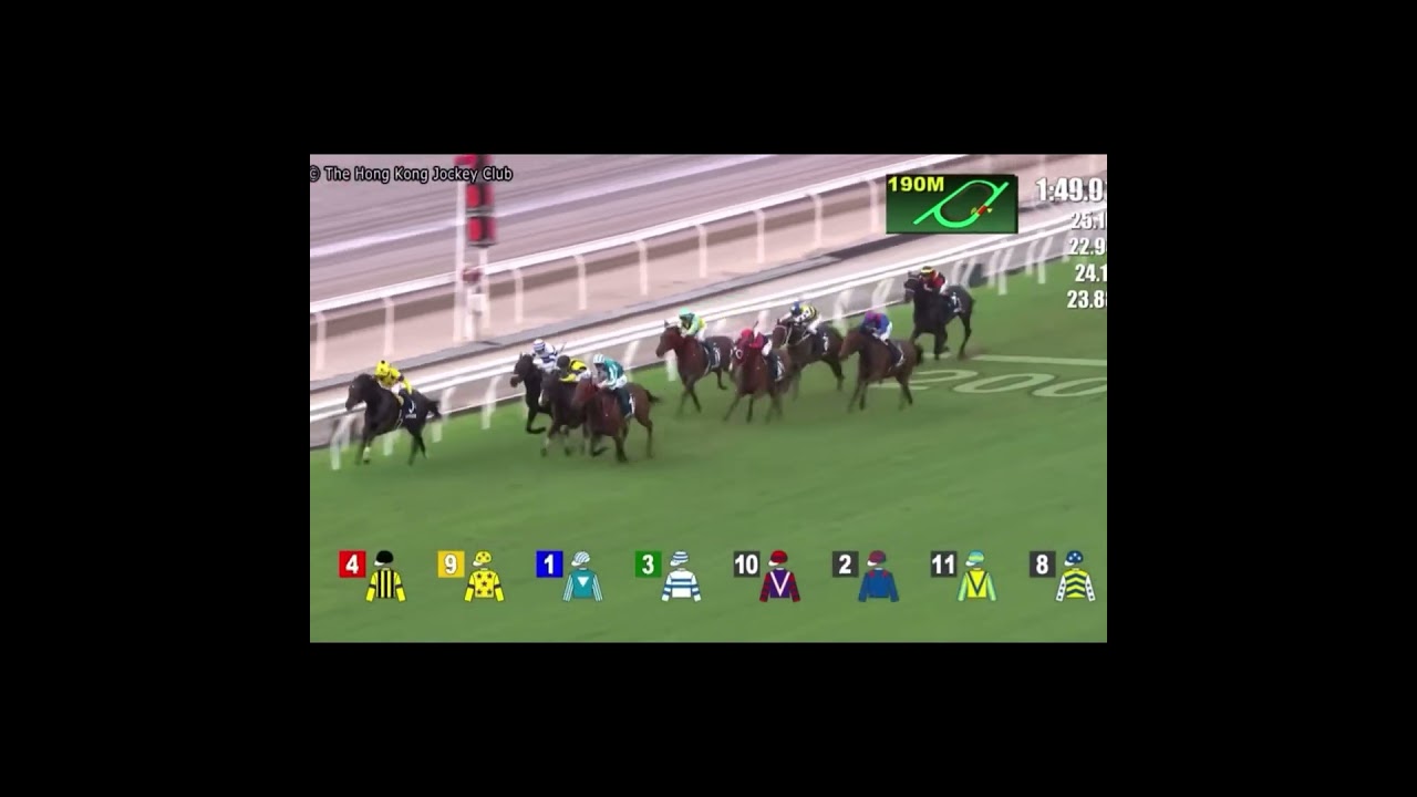 安田記念　参考レース　クイーンエリザベスⅡ世カップ ロマンチックウォリアー　最後の直線