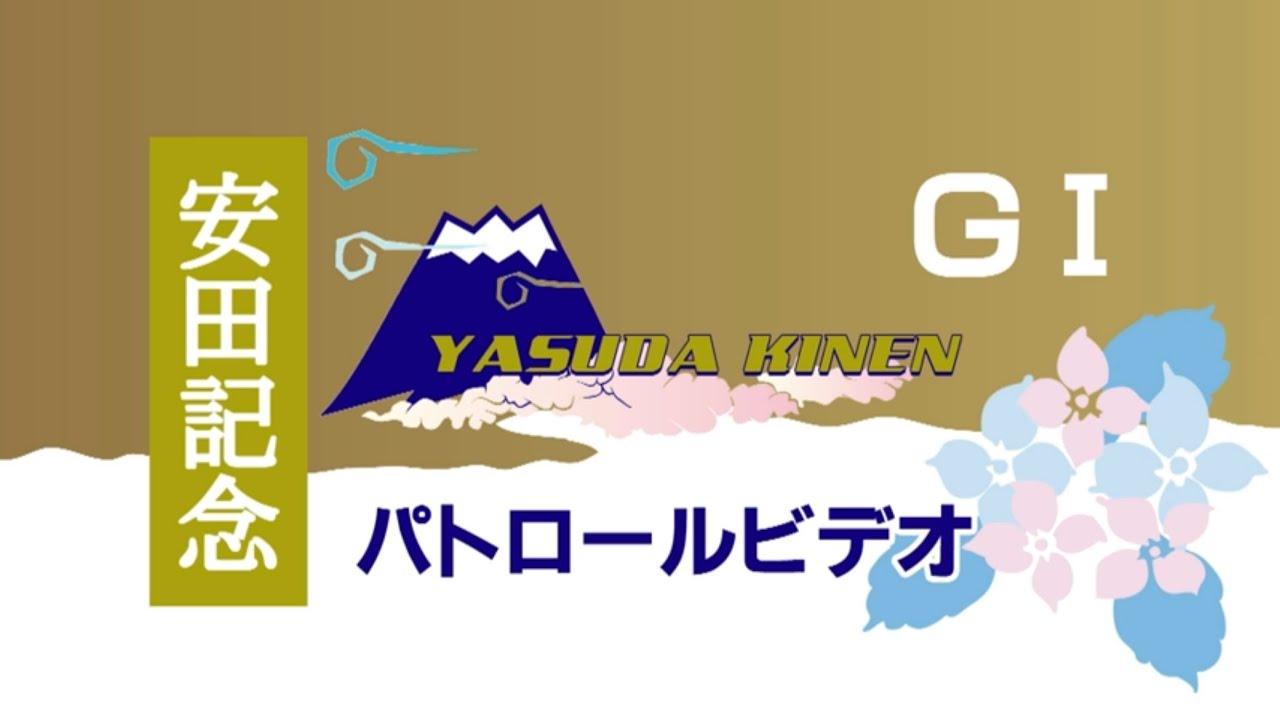 6/1 東京11R 安田記念 パトロールビデオ