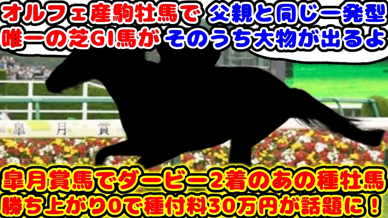 【競馬】皐月賞馬でダービー2着 今年初年度産駒が走るも中央勝ち上がり0で来年の種付料30万円になった種牡馬が話題に！！【競馬の反応集】