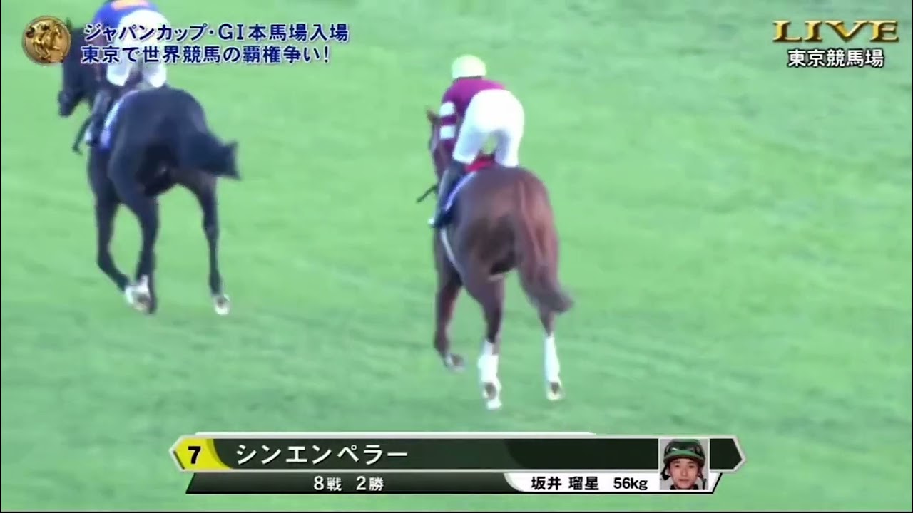 2024年ジャパンカップG1 本馬場入場