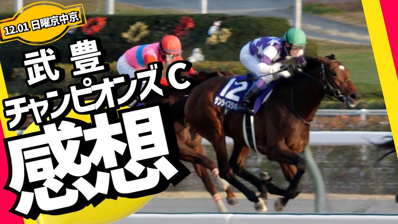 【武豊】チャンピオンズカップ観戦記 サンライズジパングは完敗6着
