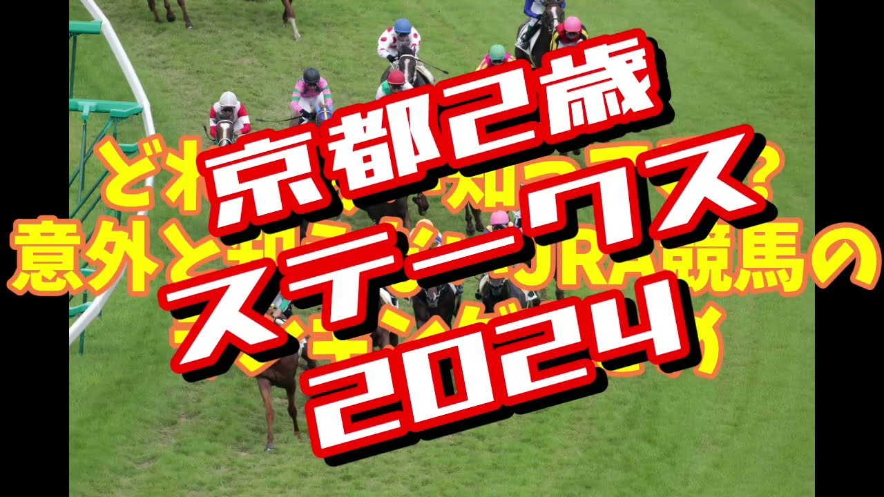 ホープフルステークスのステップレース。データに見る京都2歳ステークス2024まとめ