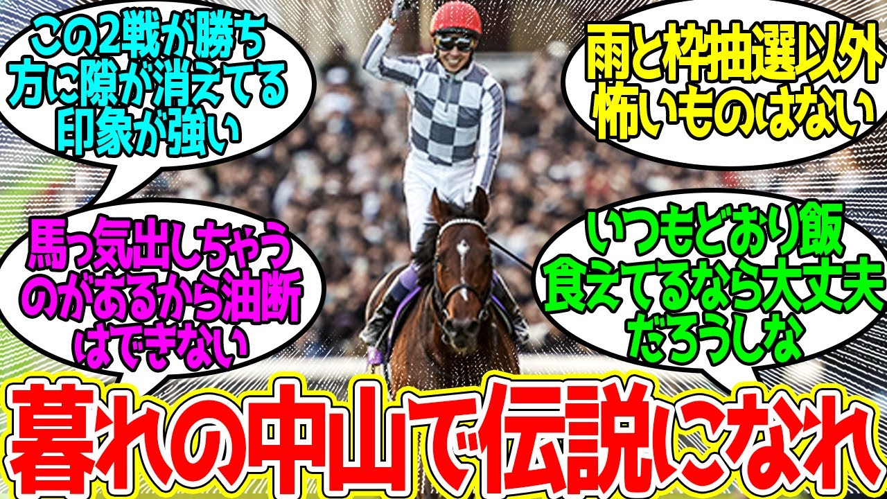 有馬ではおどうを買うの？に対するみんなの反応！【競馬 の反応集】