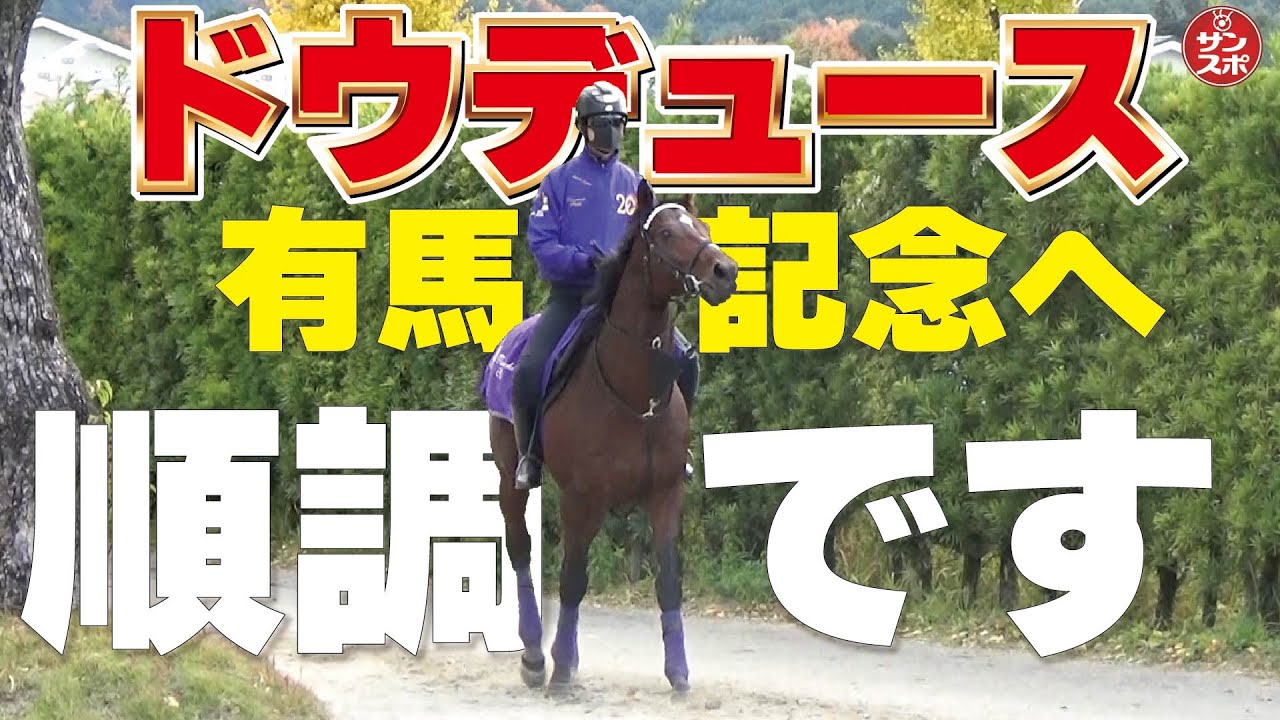 【ドウデュース順調です】有馬記念へ!本日の調教後の様子をお届けします!!