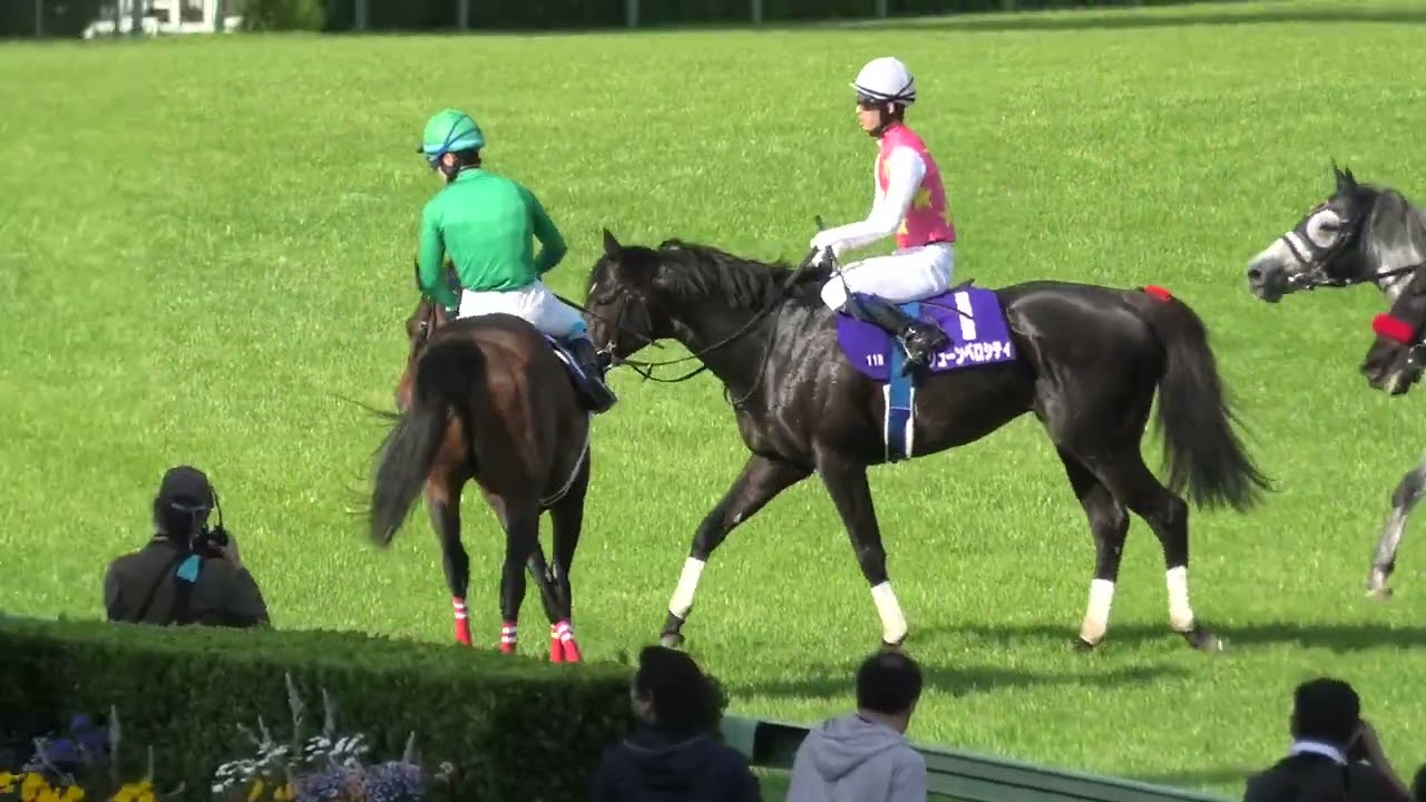 2024 04 13 中山競馬場第11レース　中山グランドジャンプ