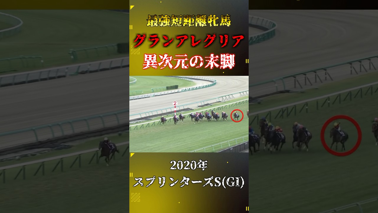 グランアレグリア【2020年スプリンターズステークス(GI)】#競馬 #shorts #スプリンターズs #グランアレグリア