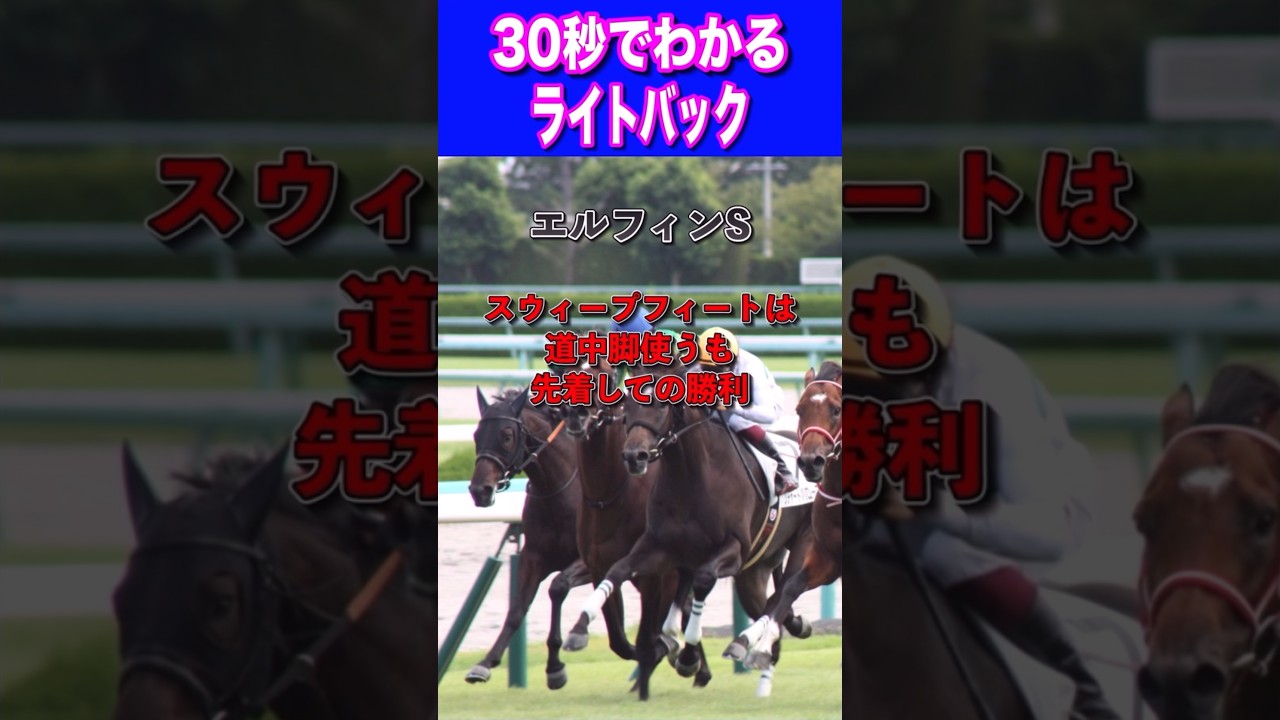 【桜花賞2024】30秒でわかるライトバック
