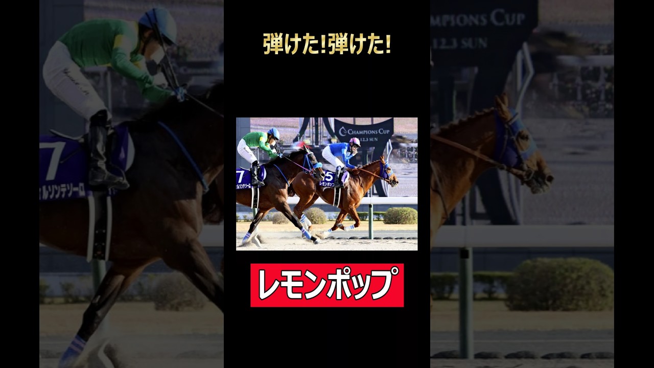 弾けた弾けた！レモンポップだ！ #競馬 #ウマ娘 #チャンピオンズカップ #チャンピオンズc #レモンポップ #坂井瑠星 #ウィルソンテソーロ #ドゥラエレーデ #中京競馬場 #ウマ娘