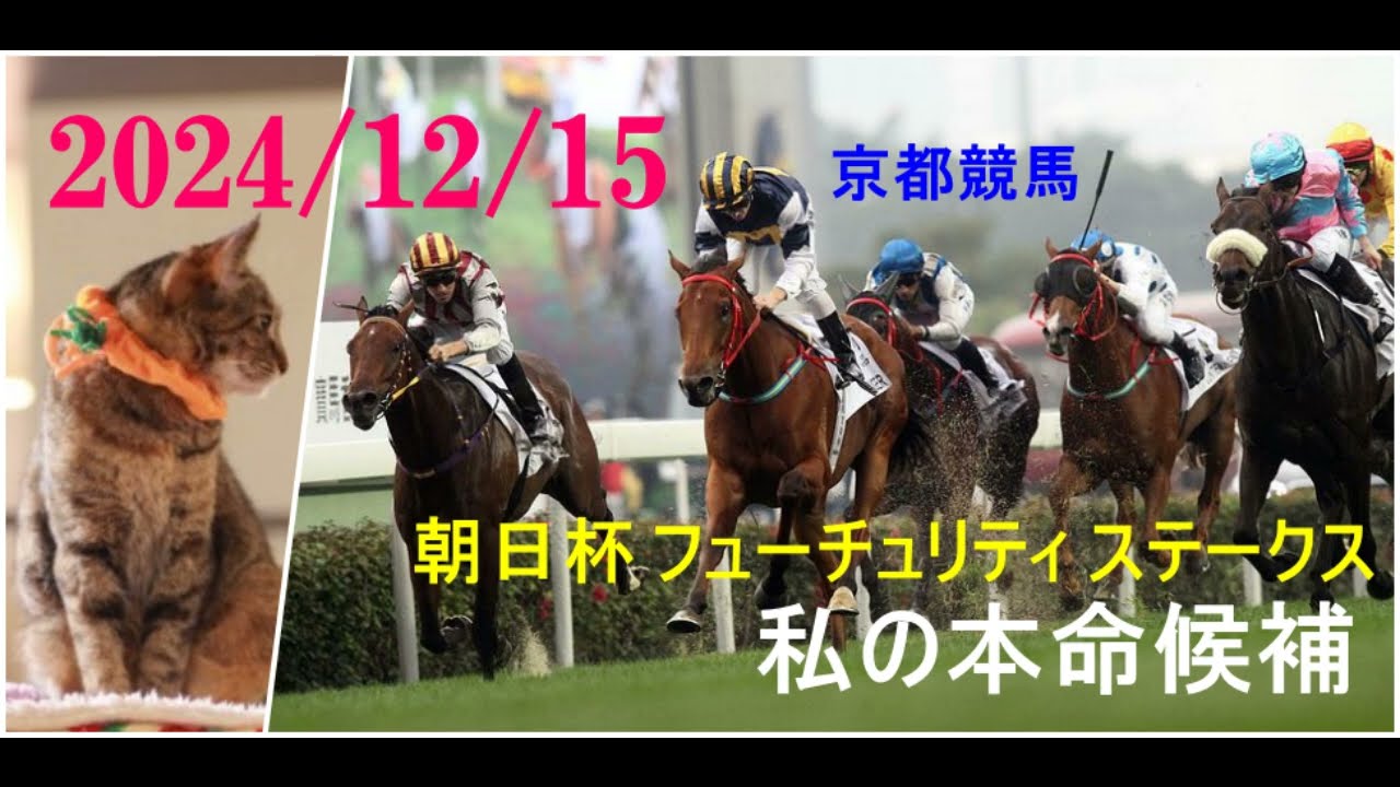 2024/12/15　京都競馬　朝日杯 フューチュリティ ステークス（ＧⅠ）私の本命候補